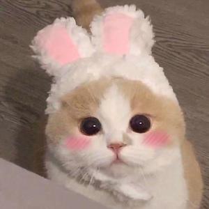 被cao开了上瘾了老想要
